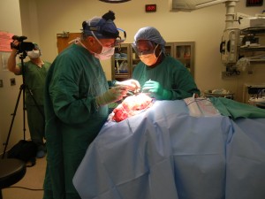 “SARAJEVO WOMAN TRAVELS TO FLA. FOR LIFE-CHANGING SURGERY” WPLG