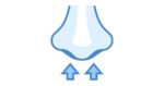 What is the Recovery Time for A Nose Job?